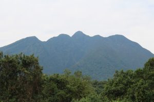 Sabyinyo-volcanoes-Birding-Uganda-Safari