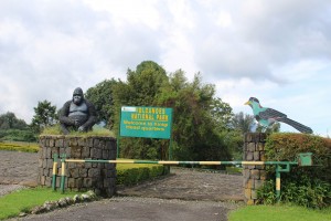 Main entrance to Volcanoes national park - Rwanda