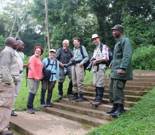 Kibale Forest National Park