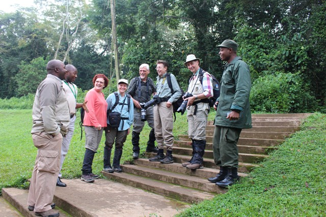 kibale chimp trekking