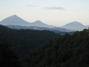 bwindi forest national park