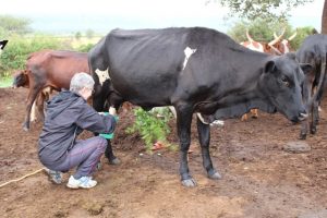 culture-tours-rwanda-culture-and-gorilla-safari