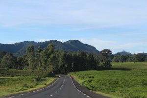 nyungwe rwanda