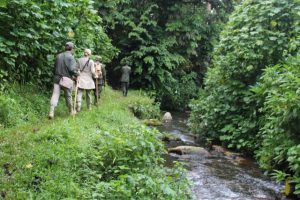 nature walk in bwindi