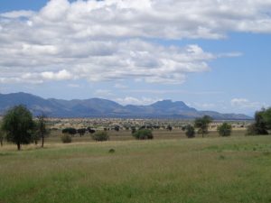Kidepo-valley-national-park
