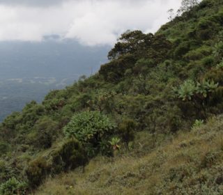 Mt. Bisoke hike