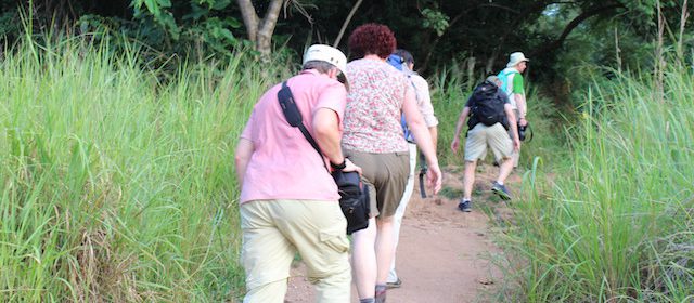 nature-walks-uganda