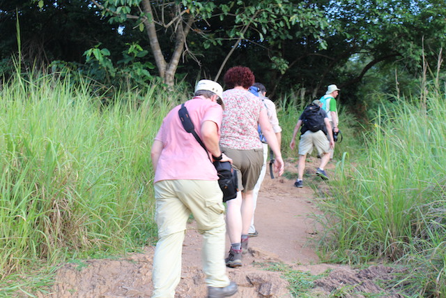 nature-walks-uganda