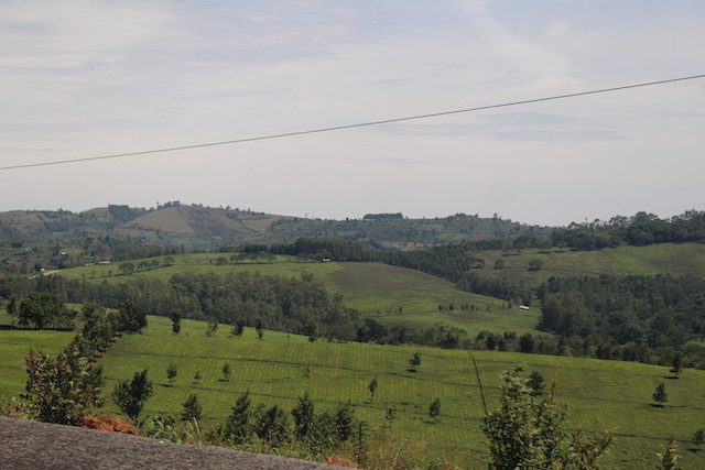 travel-to-kibale-park