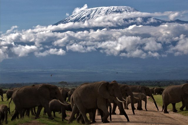 Amboseli-kilimanjaro-peak