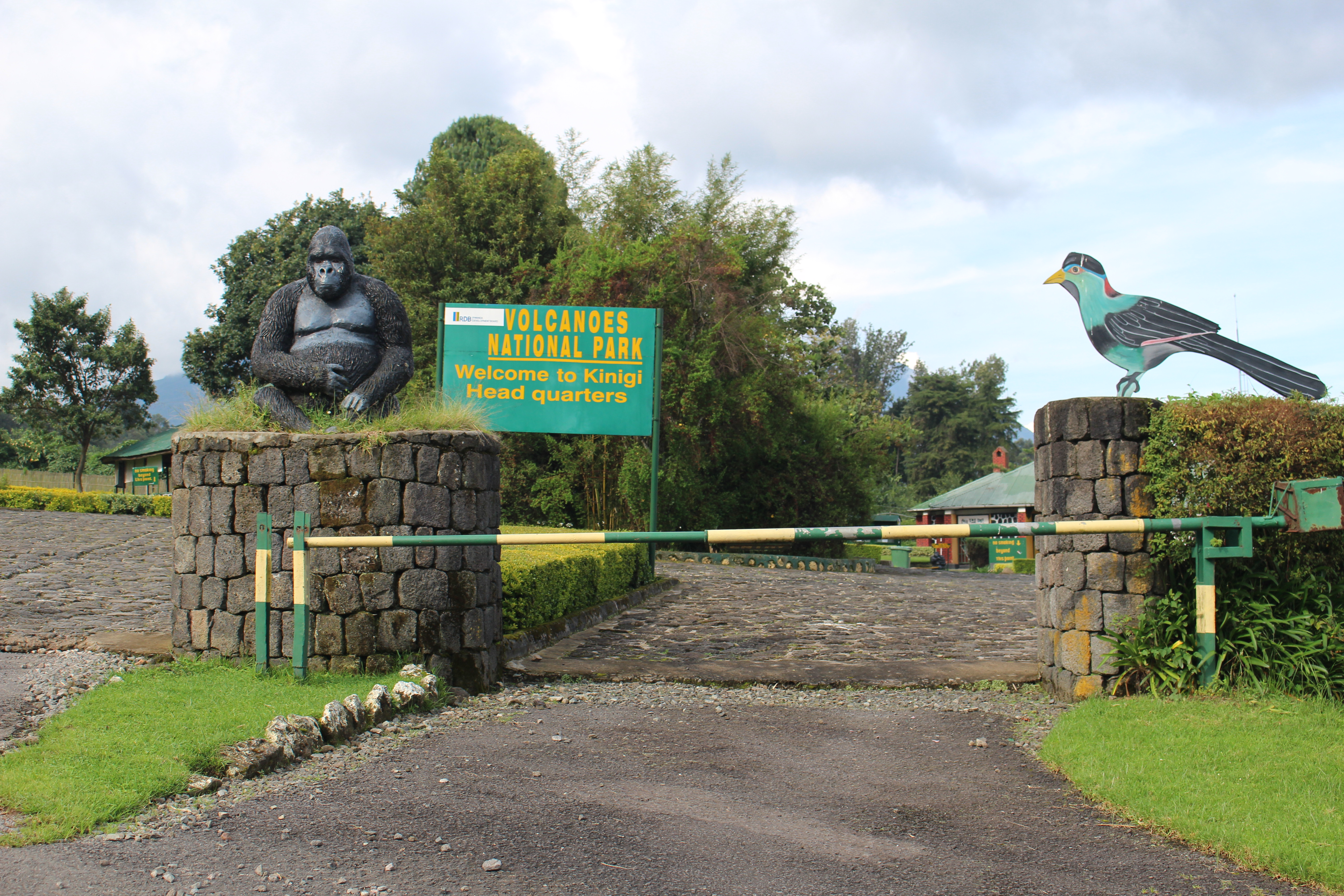 Rwanda opens for tourism