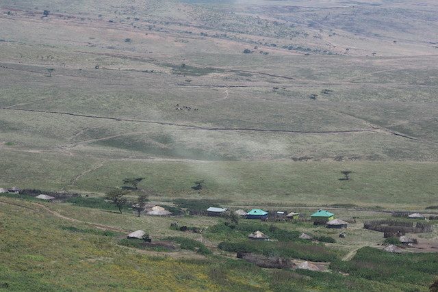 ngorongoro-community