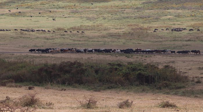 Tanzania Community tours