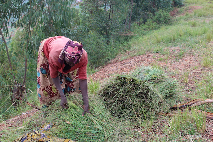 Rwanda Reconciliaton village